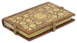 Waldseemüller-Karte + Il Fior di Virtù – ArtCodex – Ricc. 1774 – Biblioteca Riccardiana (Florenz, Italien) Waldseemüller-Karte + Il Fior di Virtù – ArtCodex – Ricc. 1774 – Biblioteca Riccardiana (Florenz, Italien)