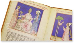 Weissagungen über die Päpste – Belser Verlag – Vat. Ross. 374 – Biblioteca Apostolica Vaticana (Vatikanstadt, Vatikanstadt)