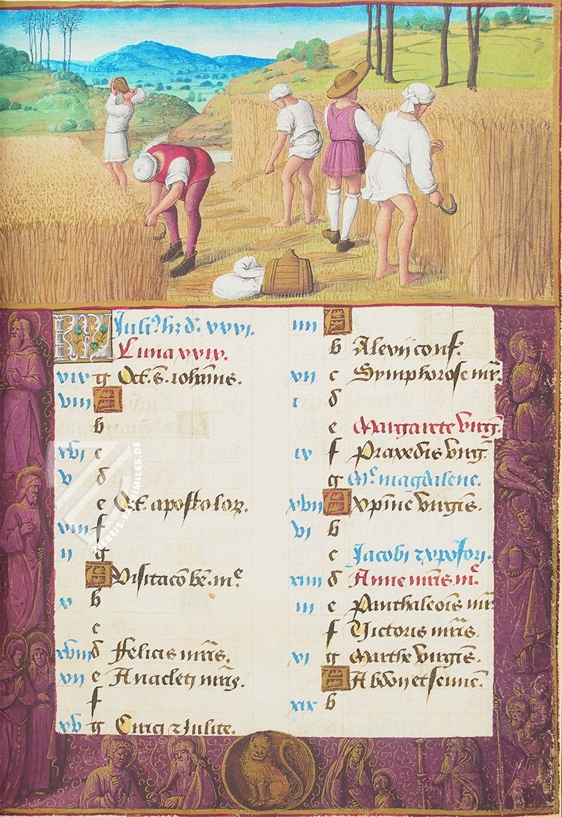 Weizenernte, Arbeit des Monats Juli (Stundenbuch von Heinrich VIII., Tours, Frankreich — um 1500)