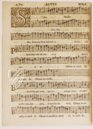 William Byrd: Messen für 3, 4 und 5 Stimmen – DIAMM – Mus. 489-493 – Christ Church Library (Oxford, Vereinigtes Königreich)