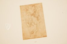 Zeichnungen von Leonardo da Vinci und seinem Umkreis - Amerikanische Sammlung – Giunti Editore – New York Public Library (New York, USA) / Metropolitan Museum of Art (New York, USA) / Getty Museum (Malibu, USA)