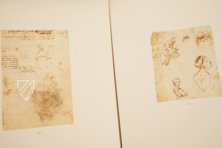 Zeichnungen von Leonardo da Vinci und seinem Umkreis - Amerikanische Sammlung – Giunti Editore – New York Public Library (New York, USA) / Metropolitan Museum of Art (New York, USA) / Getty Museum (Malibu, USA)