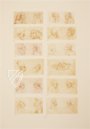 Zeichnungen von Leonardo da Vinci und seinem Umkreis - Amerikanische Sammlung – Giunti Editore – New York Public Library (New York, USA)