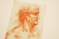 Zeichnungen von Leonardo da Vinci und seinem Umkreis - Biblioteca Reale in Turin – Giunti Editore – Biblioteca Reale di Torino (Turin, Italien)