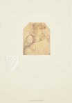 Zeichnungen von Leonardo da Vinci und seinem Umkreis - Britische Sammlung – Giunti Editore – Ashmolean Museum (Oxford, Vereinigtes Königreich)
 / British Museum (London, Vereinigtes Königreich)