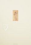 Zeichnungen von Leonardo da Vinci und seinem Umkreis - Britische Sammlung – Giunti Editore – Ashmolean Museum (Oxford, Vereinigtes Königreich)
 / British Museum (London, Vereinigtes Königreich)