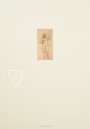 Zeichnungen von Leonardo da Vinci und seinem Umkreis - Britische Sammlungen – Giunti Editore – Ashmolean Museum (Oxford, Vereinigtes Königreich)
 / British Museum (London, Vereinigtes Königreich)