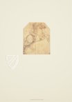 Zeichnungen von Leonardo da Vinci und seinem Umkreis - Britische Sammlungen – Giunti Editore – British Museum (London, Vereinigtes Königreich)