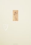Zeichnungen von Leonardo da Vinci und seinem Umkreis - Britische Sammlungen – Giunti Editore – British Museum (London, Vereinigtes Königreich)
