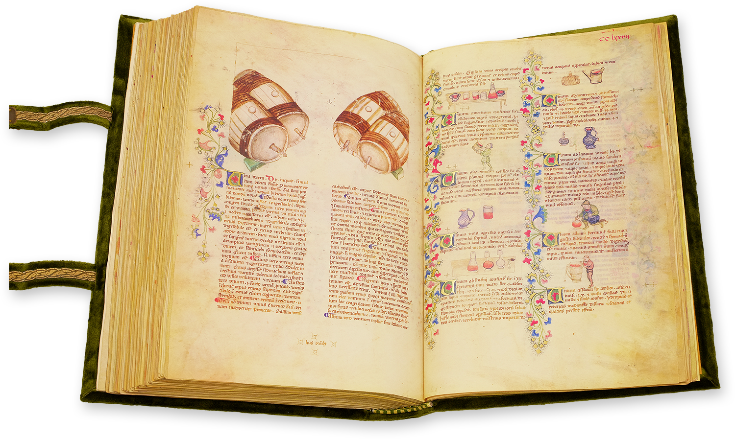Medizinische Enzyklopädie Kaiser Wenzels