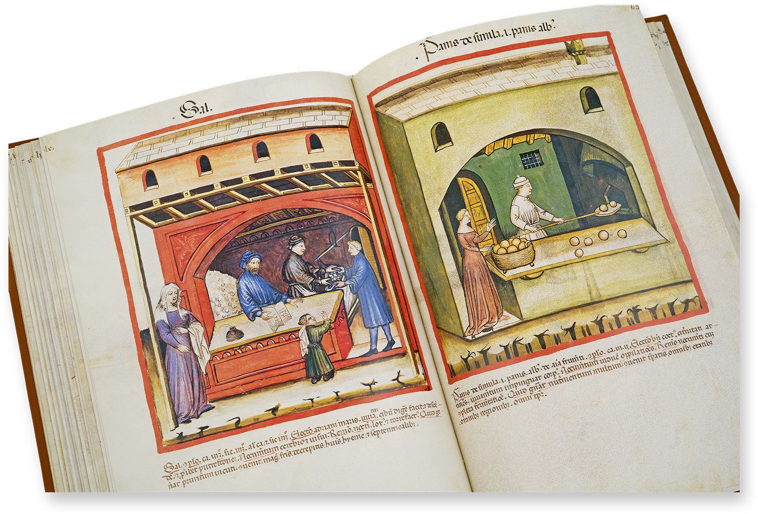 Salz (sal) und Brot aus Weizenmehl, d. i. weißes Brot (panis de simila, id est panis albus) im Tacuinum Sanitatis in Medicina
