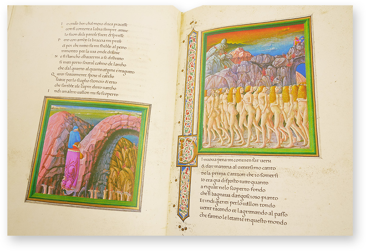 Dante Urbinate Weißranken-Initiale "D" als Teil eines prächtigen Bordürenstabs. (Dante Urbinate, Urbino und Ferrara (Italien) — Um 1480)