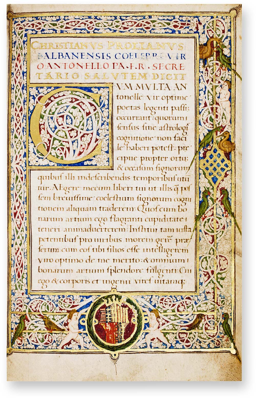 Christianus Prolianus Astronomia Diese große C-Initiale sticht in leuchtendem Gold aus einem Wirrwarr aus weißen Ranken auf blauem, grünem und dunkelrotem Grund hervor. Die Ranken entspringen dem unteren Teil des Buchstabens und verlieren sich in dicken, weißen Knospen. Der Rahmen des nahezu quadratischen Feldes, das die Initiale vom Text abhebt, geht in den Zierrahmen der Seite über, der ebenfalls über und über mit einem dichten Geflecht von weißen Ranken gefüllt ist, das zusätzlich verschiedene Tiere und zwei Putten aufnimmt. (Christianus Prolianus Astronomia, Neapel (Italien) — 1478)