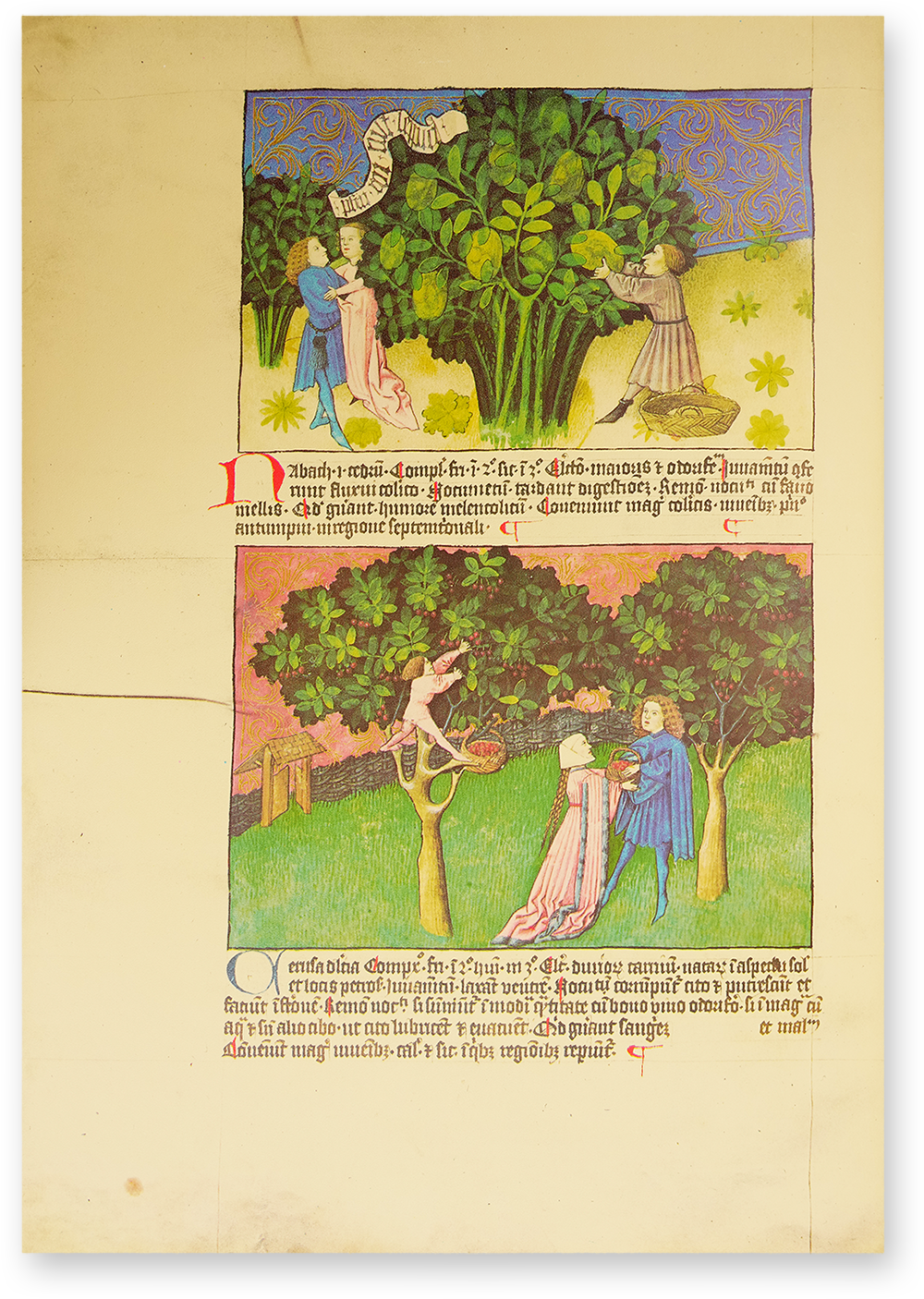 Liber de natura rerum - Codex C-67