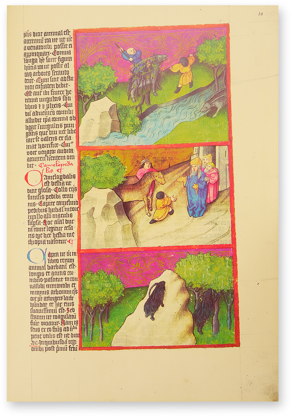Liber de natura rerum - Codex C-67