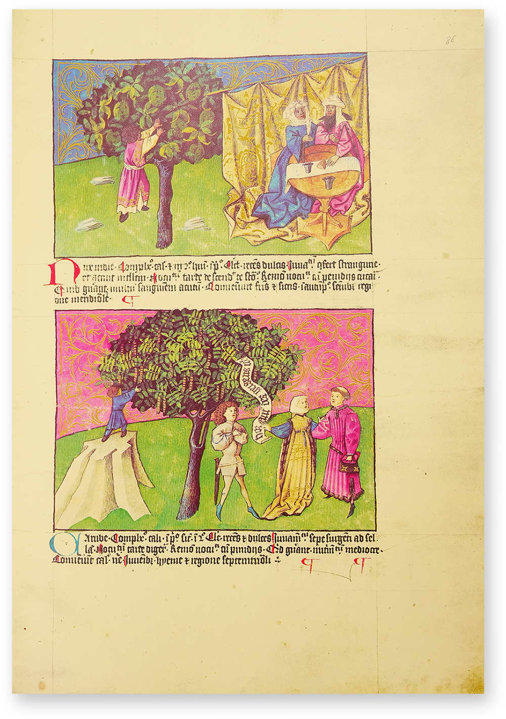 Liber de natura rerum - Codex C-67