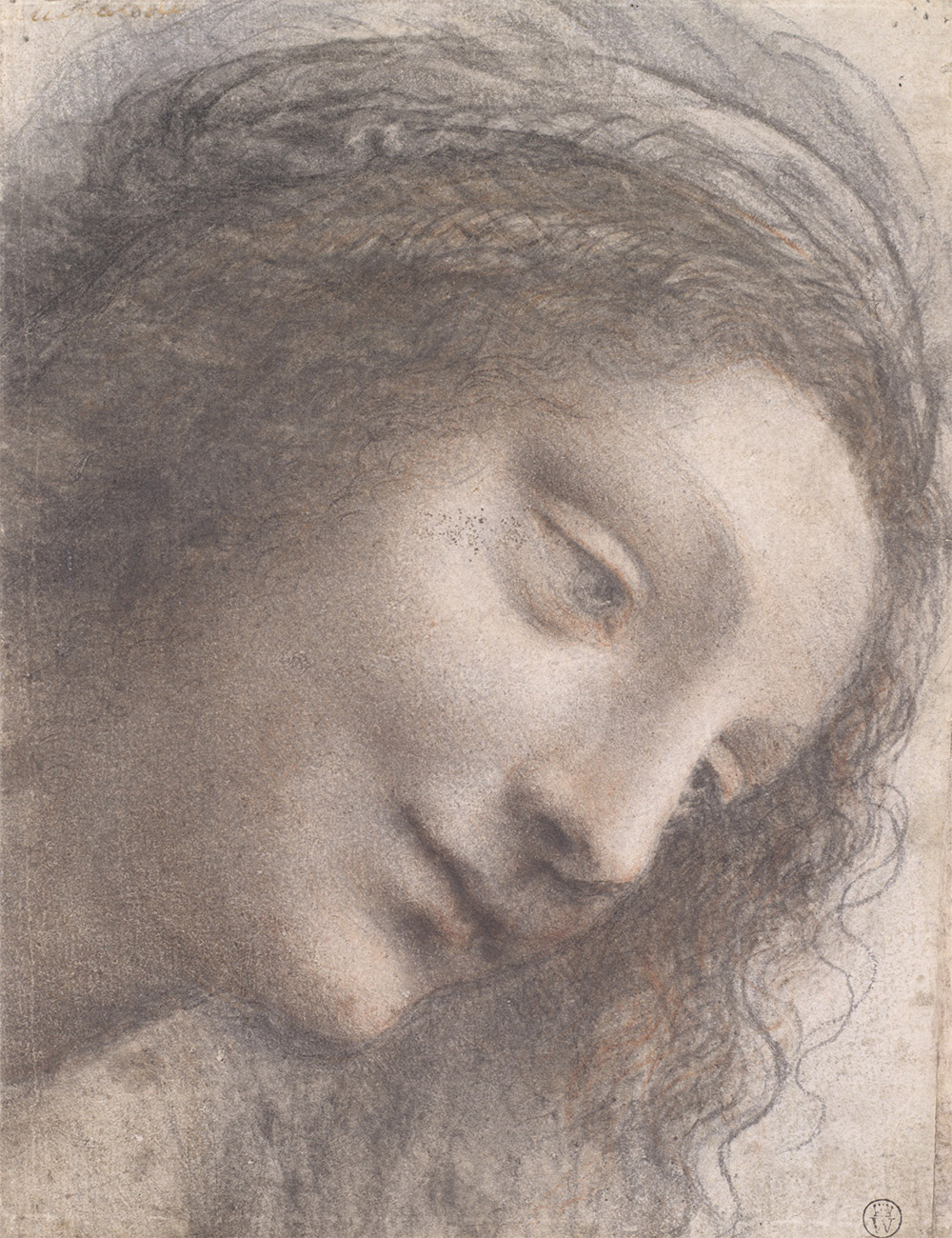 Leonardo da Vinci - Zeichnungen der Amerikanischen Sammlungen